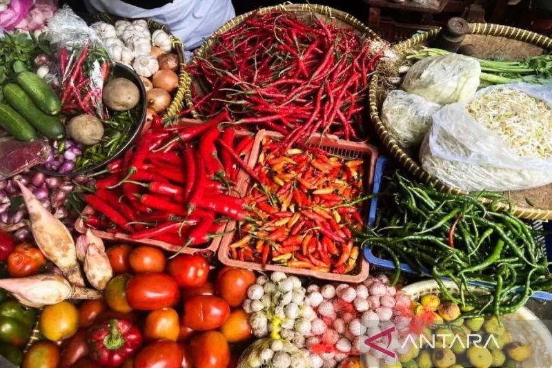 Terungkap! Harga Pangan Terkini Bapanas: Cabai Rawit dan Bawang Merah Turun, Komoditas Lain Bervariasi