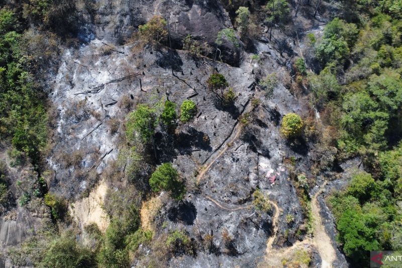 Fakta Mengejutkan: 500 Hektare Lahan Terbakar, Sumbar Siapkan Siaga Darurat Karhutla