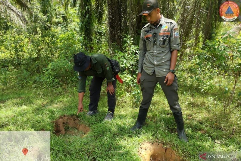 Fakta Unik Gajah: BPBD Aceh Barat Kerahkan Tim WRU Atasi Konflik Gajah Aceh Barat di Kebun Warga