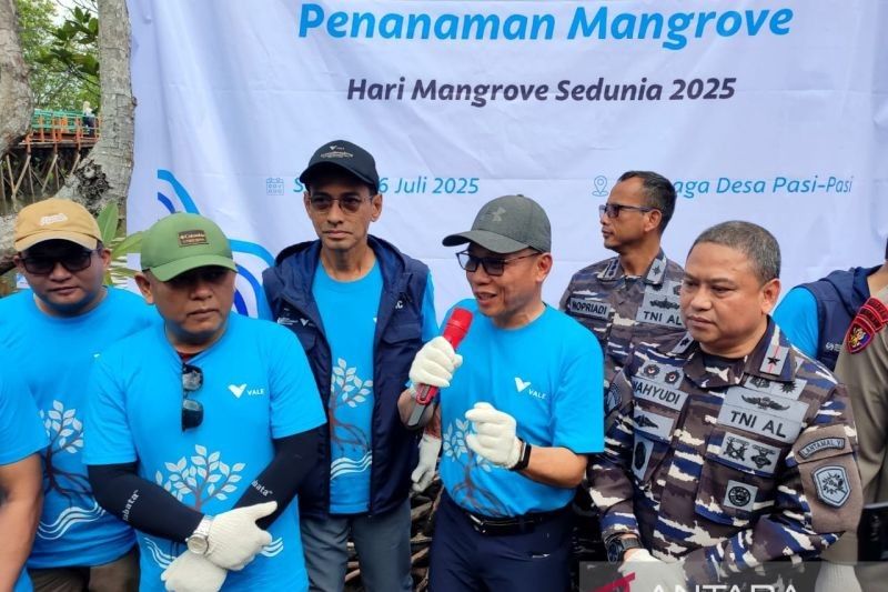 Fakta Unik Mangrove, PT Vale Kolaborasi Lakukan Restorasi Ekosistem Pesisir di Luwu Timur