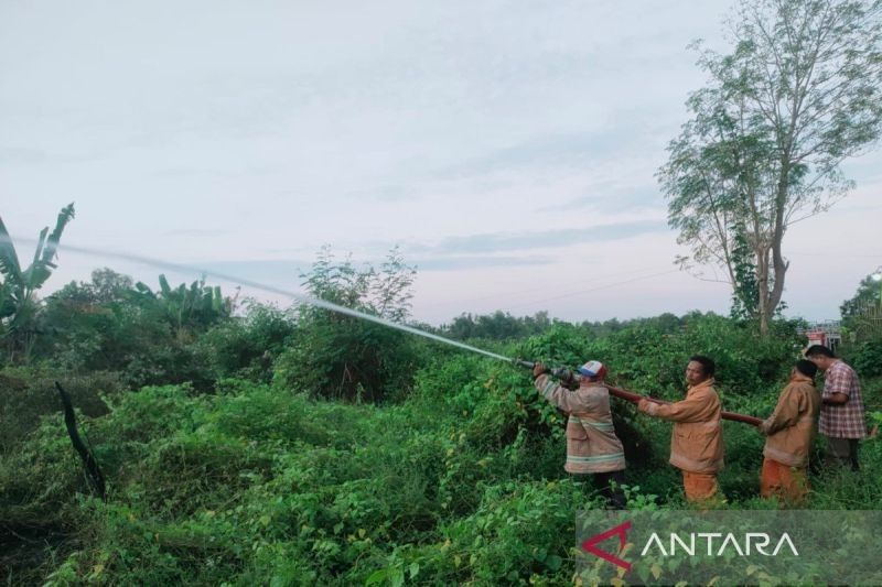 Waspada Kebakaran Lahan Pamekasan: Ternyata 90% Kasus Akibat Ulah Manusia!