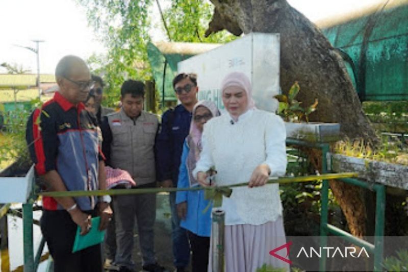 Tahukah Anda? Banjarmasin Kini Punya Kampung Inggris Berbasis Wisata di Kampung Hijau