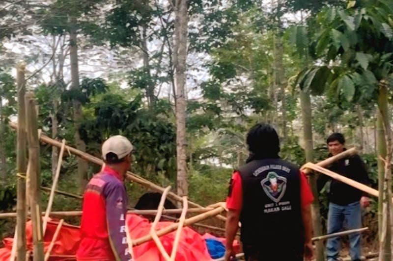 Terungkap! Polres OKU Selatan Bongkar Dua Arena Judi Sabung Ayam dalam Sebulan, Ini Lokasinya
