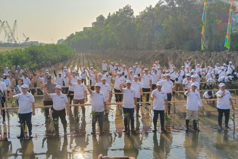 Tahukah Anda? DKI Jakarta Targetkan Penanaman Mangrove Sepanjang 1 KM Setiap Tahun, Upaya Hijaukan Pesisir Utara