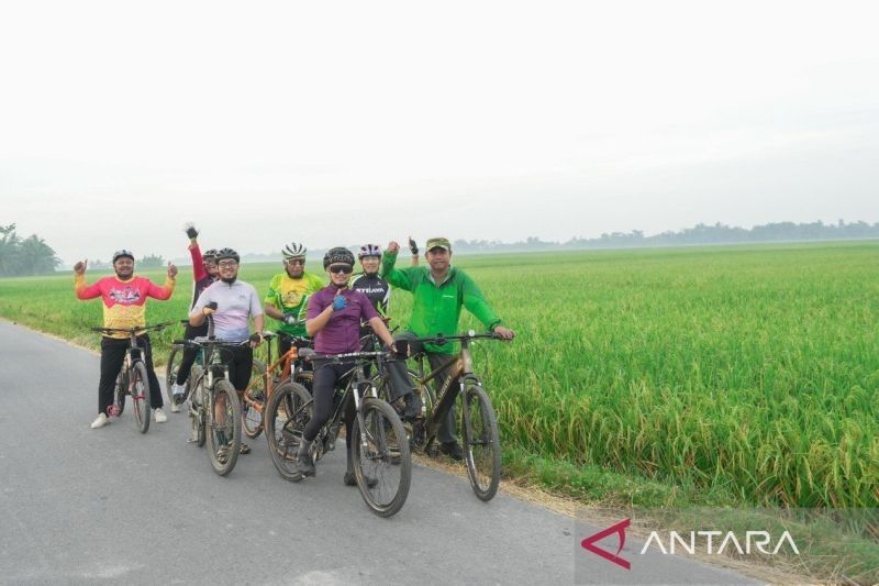 Fantastis! Rahasia Target 7 Kali Panen Padi Serdang Bedagai dalam Dua Tahun Terungkap