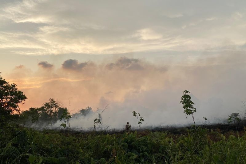 Meluasnya Kebakaran Lahan Singkawang di Jalan Bandara, Tahukah Anda Gambut Bisa Terbakar Hingga Kedalaman 3 Meter?