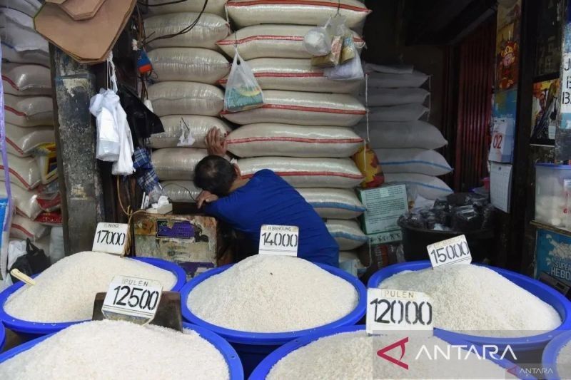 Indef Peringatkan: Praktik Oplos Beras Ancam Stabilitas Sosial dan Kepercayaan Publik