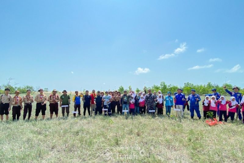 Tahukah Anda Manfaat Mangrove? Penanaman Mangrove PT Timah dan HNSI Bangka Tanam 4.000 Bibit untuk Lestarikan Ekosistem Pesisir