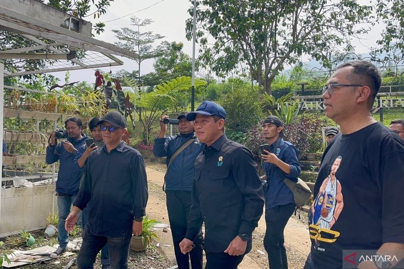 Terungkap: 9 Izin Lingkungan di Kawasan Puncak Dicabut Menteri LH, Apa Dampaknya?