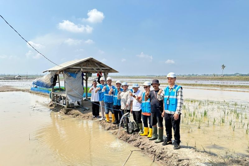 PLN Lampung Tingkatkan Ketahanan Pangan dengan Smart Farming, Apa Itu SuperSUN?
