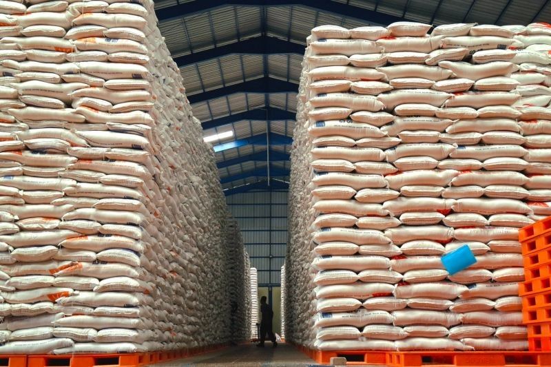 Fakta Unik Kuota Dua Ton Beras SPHP Bulog untuk Koperasi Desa Merah Putih di Lampung: Strategi Stabilisasi Harga Pangan