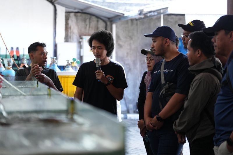 Tahukah Anda? KKP Perkuat Deteksi Hiu Pari Dilindungi di Timur Indonesia demi Kelestarian Laut