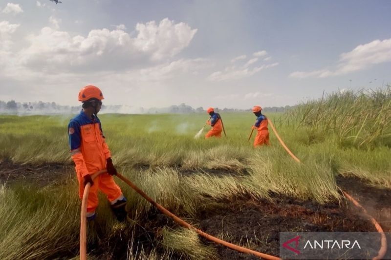 Terungkap! Dua Titik Karhutla Kalsel Diduga Akibat Ulah Oknum Tak Bertanggung Jawab