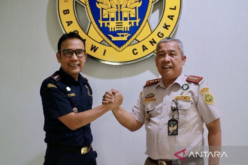 Fakta Menarik Ekspor Unggulan Kalsel: Udang dan Arwana Tembus Jepang, Karantina-Bea Cukai Perkuat Sinergi
