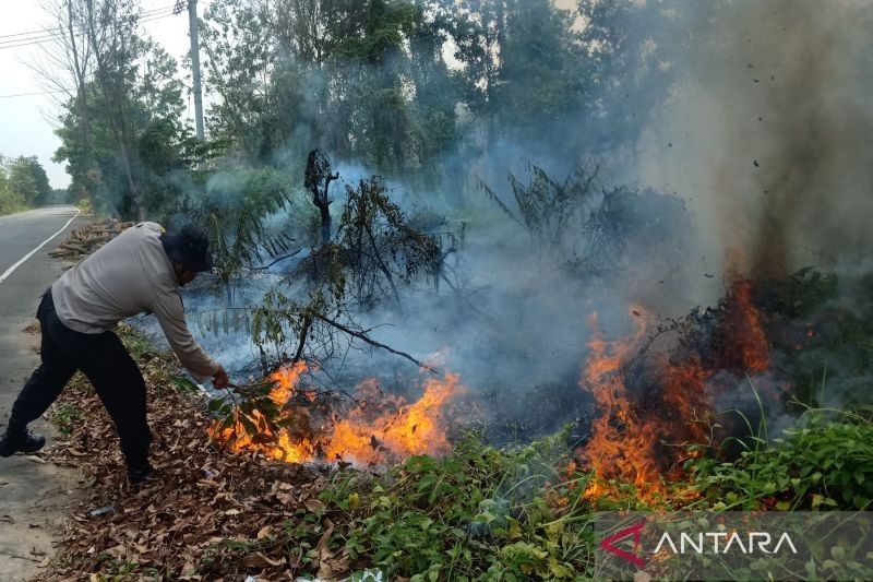 Misteri di Balik Api: 44 Tersangka Ditetapkan dalam Kasus Kebakaran Hutan dan Lahan Riau 2025