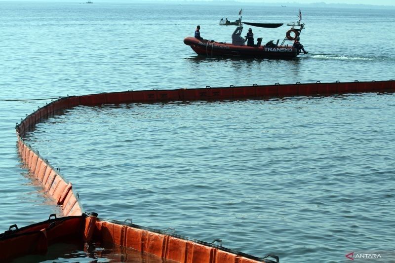 Tahukah Anda? Mikroba Pemakan Minyak Ditemukan BRIN, Solusi Revolusioner Atasi Tumpahan Minyak di Laut Indonesia!
