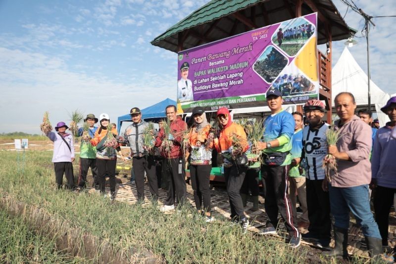 Mengenal Selapanan Madiun: Inovasi DKPP Kota Madiun Dukung Ketahanan Pangan di Lahan Terbatas
