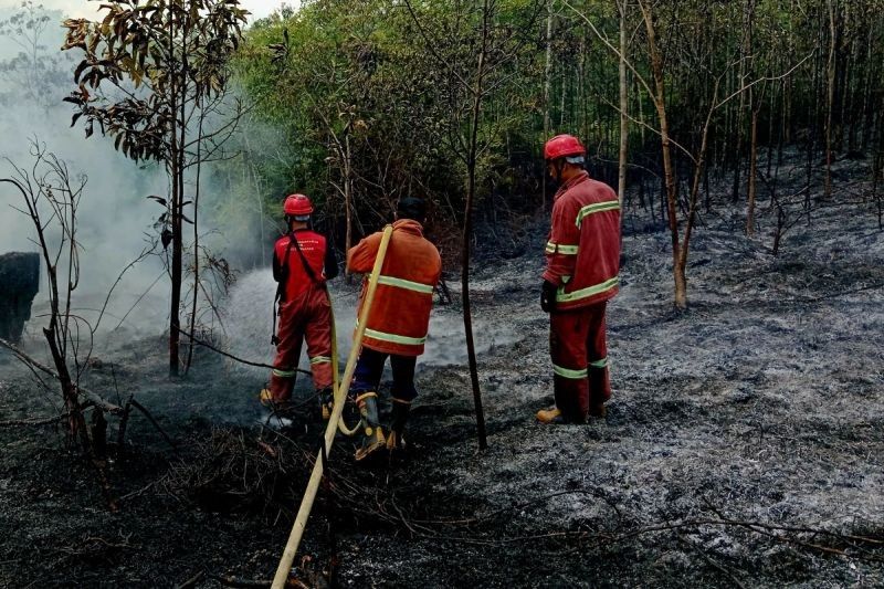 Waspada! Karhutla Natuna Terus Terjadi di Tiga Titik, Disdamkarmat Imbau Warga Tak Bakar Lahan