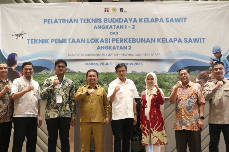 Fakta Unik: Ratusan Petani Sawit Tingkatkan Kompetensi Lewat Pelatihan Intensif PT RPN