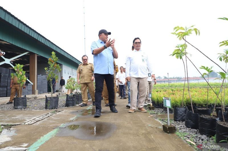 Fakta Menarik Rumpin: Bupati Bogor Gaet Balai Persemaian Rumpin Perluas Penghijauan Kabupaten Bogor