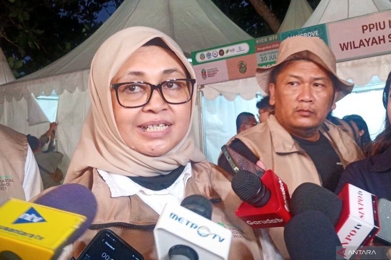 Fakta Unik Mangrove: Kemenhut Sebut Pelibatan Masyarakat Kunci Sukses Rehabilitasi Mangrove Nasional