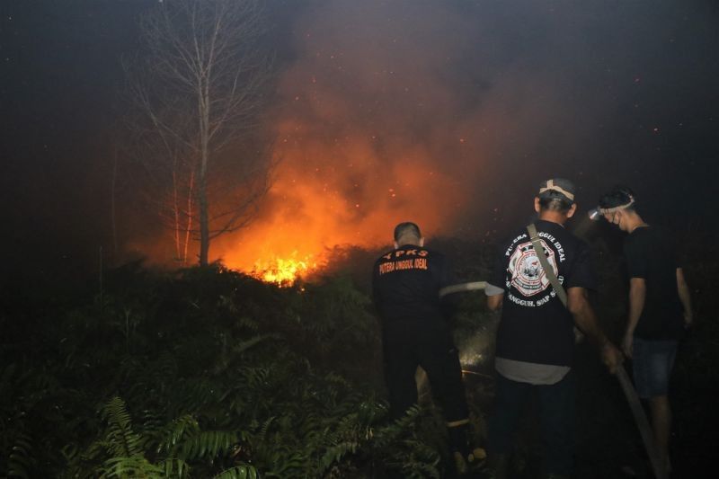 Fakta Mengejutkan: 31 Hektar Lahan Terbakar Dekat Bandara, Kebakaran Lahan Singkawang Kian Meluas