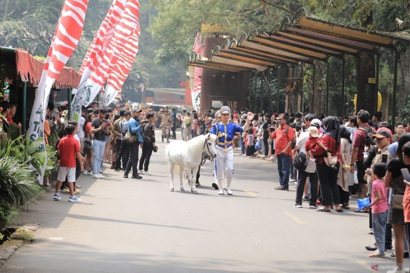 Rayakan HUT ke-80 RI, Taman Safari Bogor Hadirkan Parade Satwa Edukatif 'The Forest Carnival'