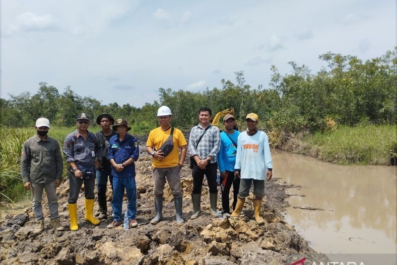 Mengenal Jirak Food Cluster Tabalong: Proyek Ambisius 700 Hektare untuk Ketahanan Pangan Kalsel