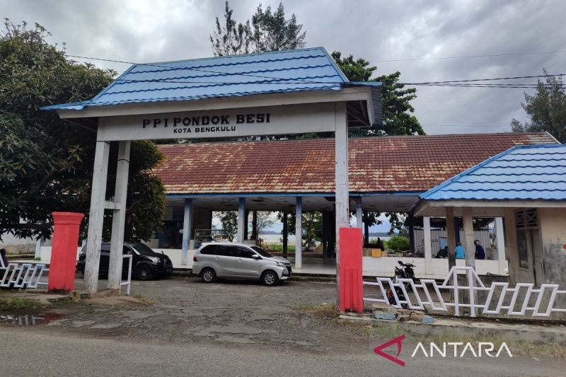 Transformasi TPI Pondok Besi: Bengkulu Canangkan Pusat Pengolahan Ikan Laut Modern, Siap Anggarkan Miliaran Rupiah untuk Penataan Pantai!