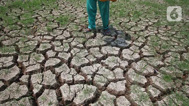 Siap-Siap Agustus 2025 Jadi Puncak Kemarau, Ini Daftar Wilayah Terdampak