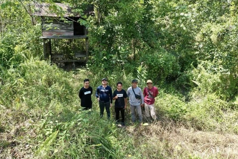 Terungkap! Kalsel Gencarkan Inventarisasi Lahan RHL FOLU Net Sink di Pegunungan Meratus