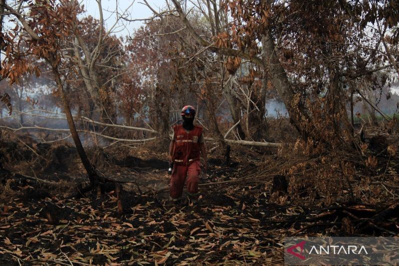 BMKG Deteksi Peningkatan Signifikan Hotspot Karhutla di Kalimantan dan Sumatra: Ancaman Musim Kemarau Puncak