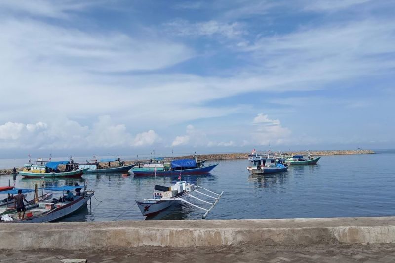 Fakta Unik Lola Merah: Polairud Selayar Tangani Tiga Kasus Perdagangan Biota Laut Sepanjang 2025