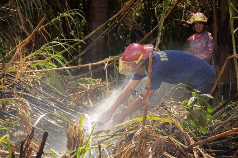 Terungkap! Indikasi Karhutla Limapuluh Kota Disengaja, Ribuan Hektare Lahan Terbakar