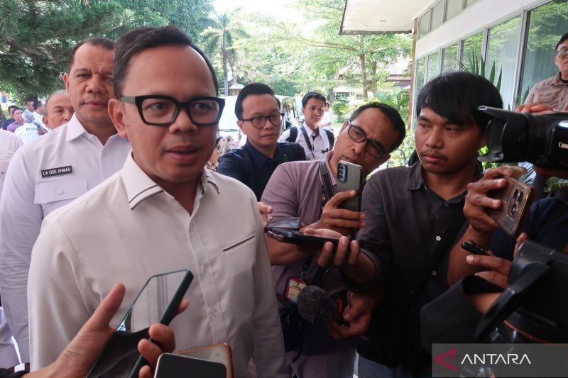 Wamendagri Tak Persoalkan Pengibaran Bendera One Piece: Simbol Kreativitas atau Kritik Tersembunyi?