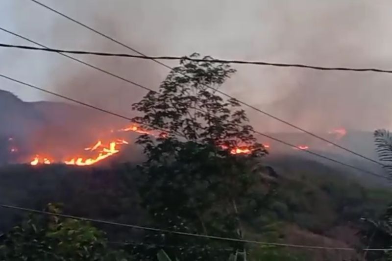 Misteri Penyebab Kebakaran Hutan Pasaman 101 Hektare: Bukit Teletabis Ludes Dilalap Api