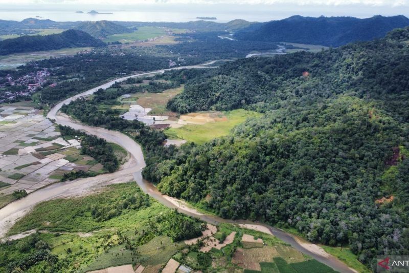 Tahukah Anda? Menhut Fokus Jaga Kelestarian Satwa Endemik: Harimau Sumatra di Sumbar Jadi Prioritas Utama