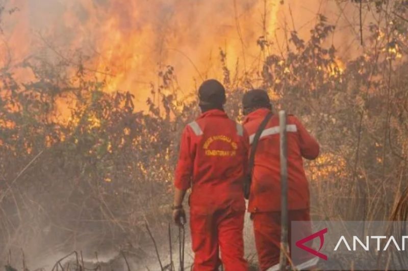 Tahukah Anda 11 Kecamatan di Purwakarta Rawan Karhutla? Waspada Kekeringan dan Karhutla Purwakarta Mengancam!