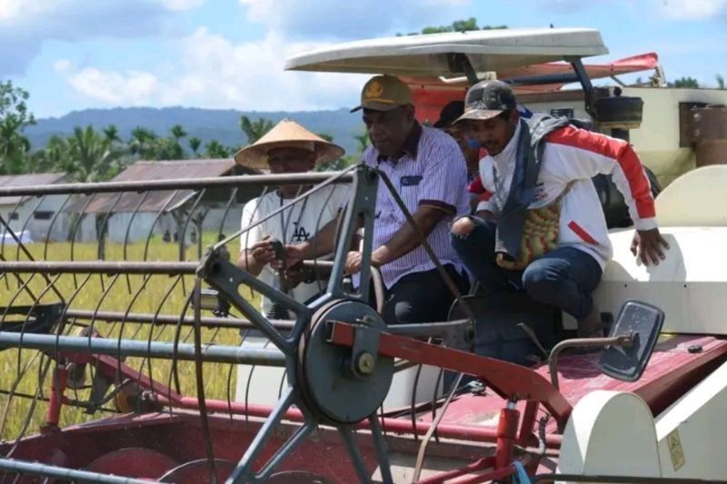 Tahukah Anda? Mesin Panen Padi Jayapura Tingkatkan Efisiensi Petani di Namblong