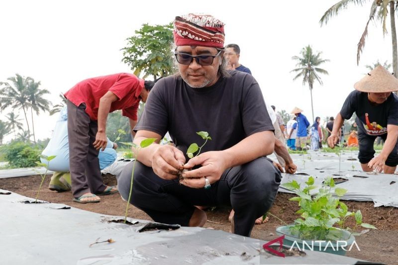 Fantastis! Bupati Temanggung Siapkan Hadiah Rp50 Juta untuk Pemenang Sayembara Cabai Temanggung, Ini Syaratnya