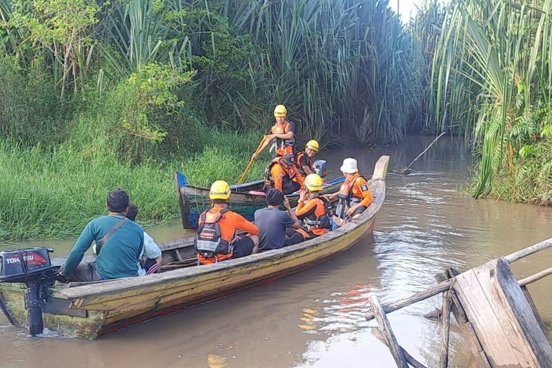 Fakta Mengejutkan: Basarnas Kerahkan Drone Thermal Cari Buaya Terkam Pemancing di Sungai Menduk