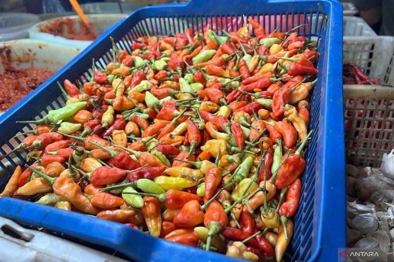 Harga Pangan Turun! Bawang Merah dan Cabai Rawit Pimpin Penurunan, Bapanas Rilis Data Terbaru