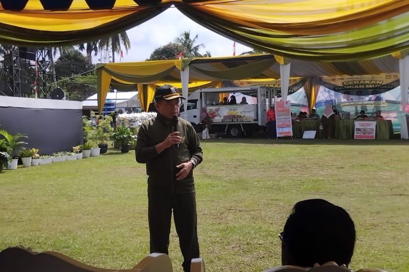 Gubernur Jambi Apresiasi Kolaborasi 'Gerakan Pangan Murah Jambi': Tahukah Anda Potensi Ekonomi di Baliknya?