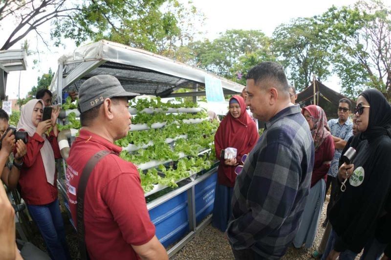Fakta Unik: 6.000 RT Jadi Ujung Tombak Program Urban Farming Makassar, Solusi Pangan dan Lingkungan