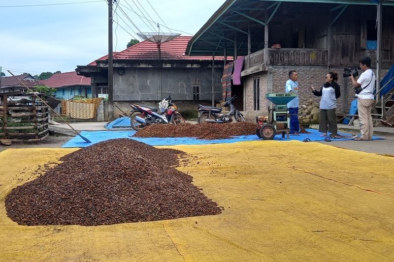 Fakta Menarik: Pertumbuhan Ekonomi Lampung Triwulan II 2025 Tembus 5,09 Persen, Ini Pendorongnya!