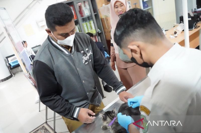 DPKH Kaltim Gelar Vaksin Rabies Gratis Sambut HUT RI ke-80: Tahukah Anda 90% Kasus Rabies dari Anjing?