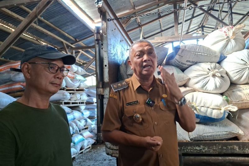 Trivia: Bengkayang, Daerah Peringkat Lima Nasional, Genjot Produksi Jagung untuk Ekspor