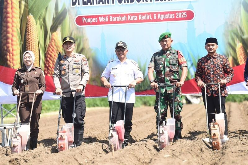 Fakta Menarik: Program Tanam Jagung di Pesantren Latih Santri Mandiri dan Perkuat Ketahanan Pangan Nasional