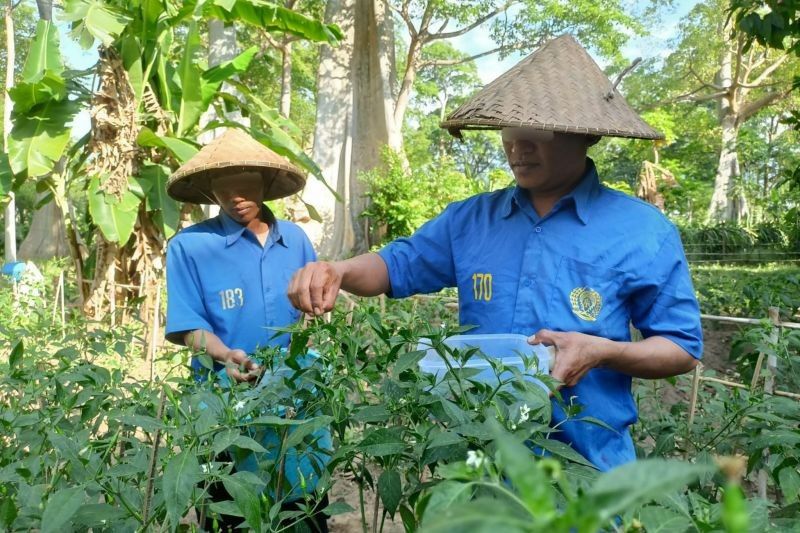 Tahukah Anda, Remisi Dasawarsa Terakhir Diberikan 2015? Ratusan WBP Lapas Selong Diusulkan Dapat Remisi HUT RI 2025