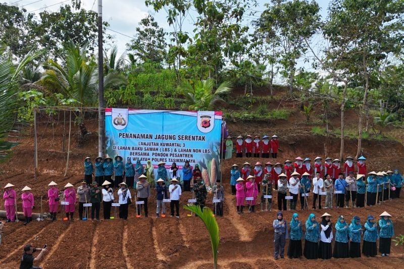 Fakta Unik: Polres Tasikmalaya Tanam Jagung di 206 Hektare Lahan, Dukung Ketahanan Pangan Nasional
